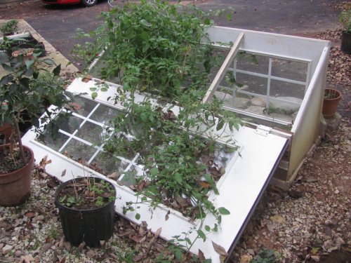 DIY cold frame